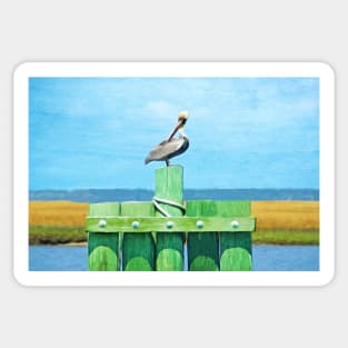 Brown Pelican Perched at St. Simons Island Sticker